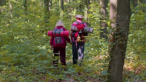 Senior Couple Hiking Together in a Lush Forest