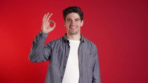 Smiling Young Man Gesturing Okay Against Red Backdrop