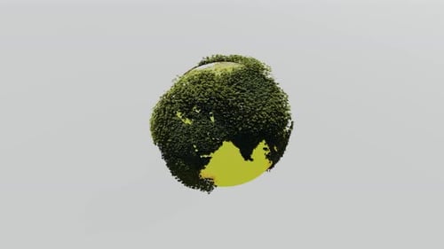 The earth rotates with the yellow sea