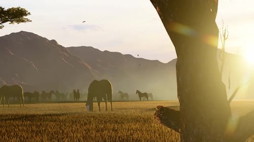Serene 3D Animation of Horses Grazing in a Golden Field