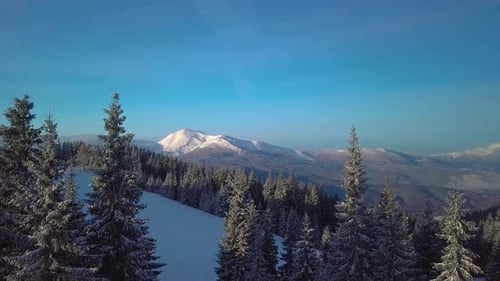 Snowy Winter Mountain Landscape with Evergreen Trees