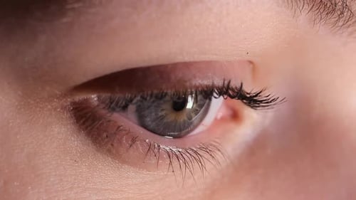 Makro-Nahaufnahme Blinkendes, auf der Iris reflektierendes Licht
