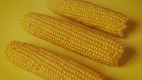 Three Ears of Yellow Corn on Yellow Surface