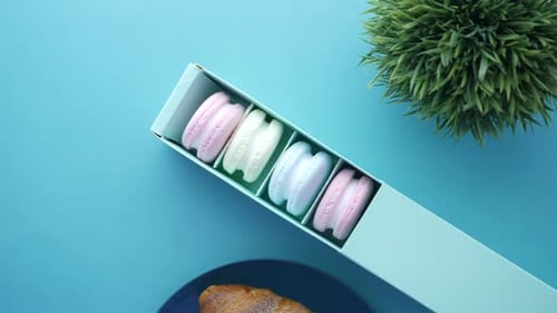 Macaroon in a Paper Box on Light Green Background