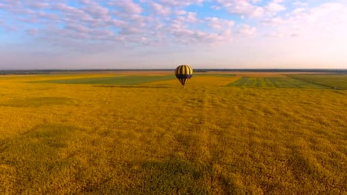 Hot Air Balloon Flying Low Over Yellowish Field Against Blue Sky, Aerial View