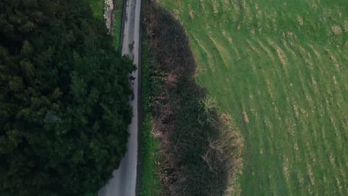 Aerial Drone Countryside Runner With Dog Birds Eye Road Descend at Dusk Dawn
