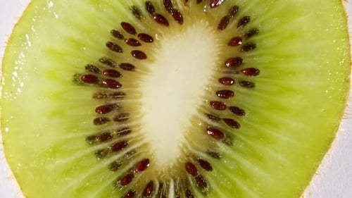 Macro Shot of Transparent Slice of Kiwi Fruit and Rotate