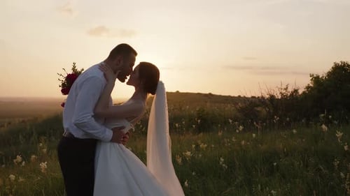 Kissing Couple in the Evening Sunset