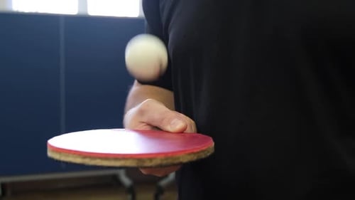Black Table Tennis Racket and Ball in Women's Hands Close