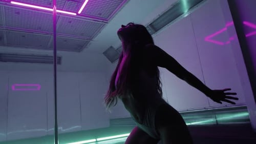 Polédance sensuelle