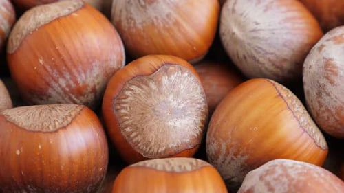 Close Up View of a Pile of Hazelnuts