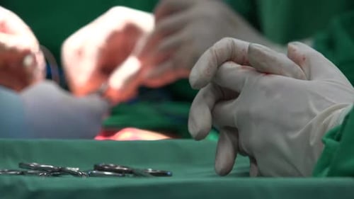 Surgical Suture Or Stitches