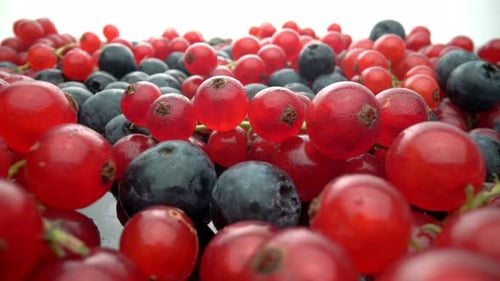 Close Up of Fresh Blueberries and Red Currants
