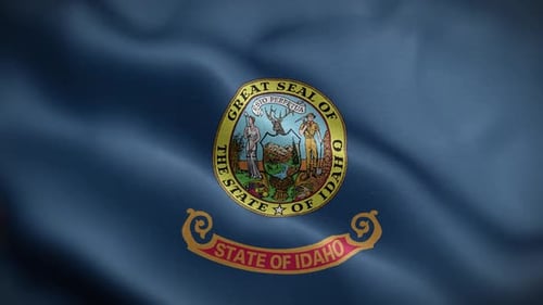 Waving Flag of Idaho State Seamless Loop