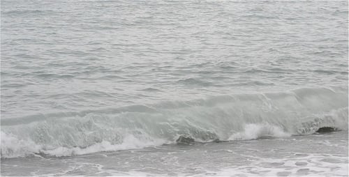 Meer 9