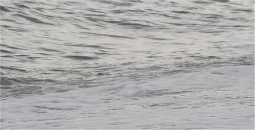 Sea 10
