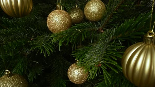 Sparkling Golden Ornaments Adorn Christmas Tree Branches