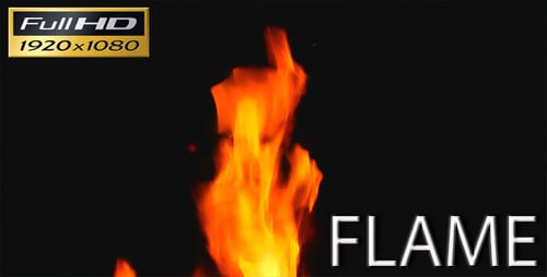 Mesmerizing Flames Dancing Against a Black Backdrop