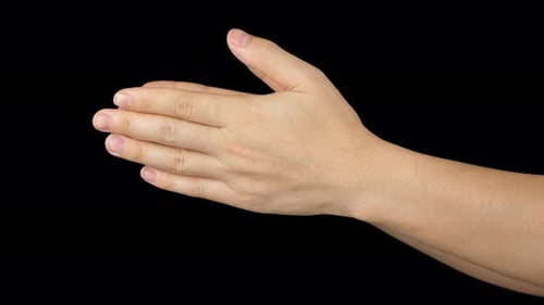 Hands Clapping Congratulation Sign With Alpha Channel