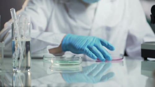 Technicien de laboratoire examinant la viscosité et les capacités cinétiques de la substance