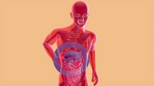 Concept d'anatomie 4K du foie