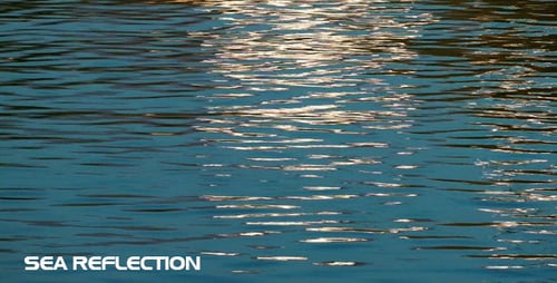 Sea Reflection