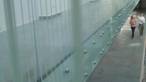 Two Female Colleagues Going along Office Building and Communicating