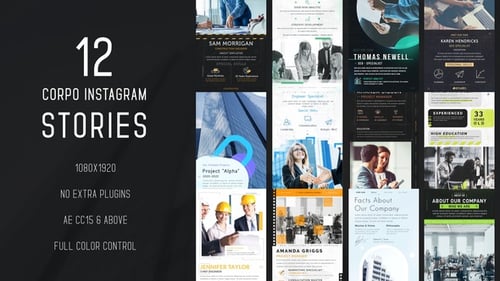 Modern Corporate Team Profiles for Social Media Stories