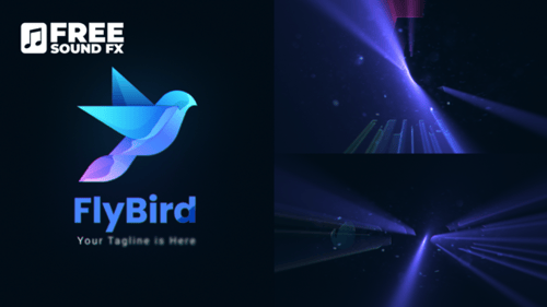 Elegant Shining Logo