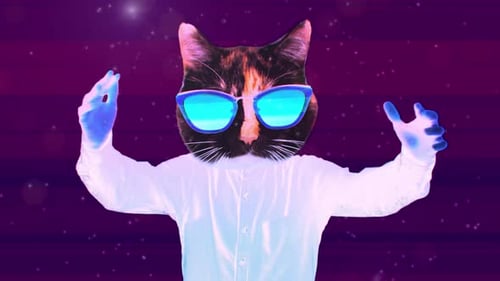 Collage Motion Desig Animation Art