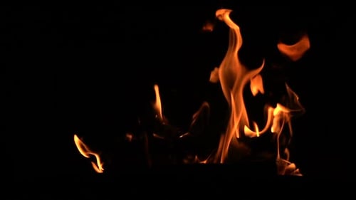 Warm Cozy Burning Fire in the Fireplace