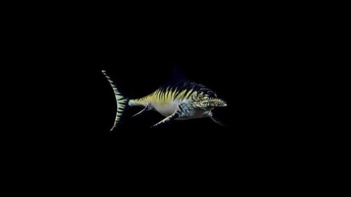 Realistic 3D Ichthyosaur Marine Reptile Swimming Animation