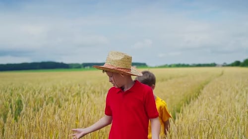 Boys walk on wheat field