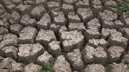 Cracked Earth in Arid Desert Landscape