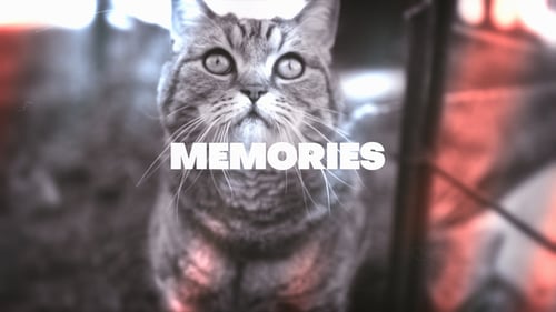 Memories Overlays