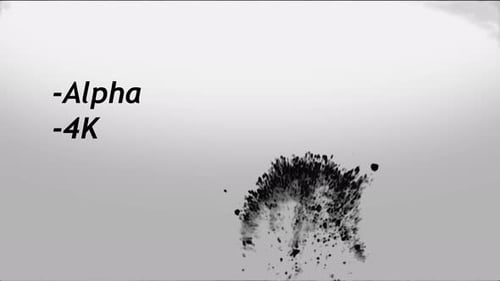 Abstract Fluid Ink Splatter Reveal Animation