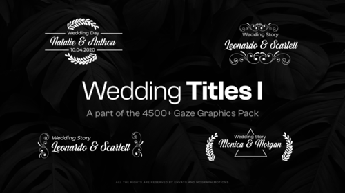 Elegant Wedding Titles with Decorative Text Animations