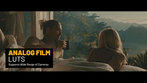 Analog Film LUTs