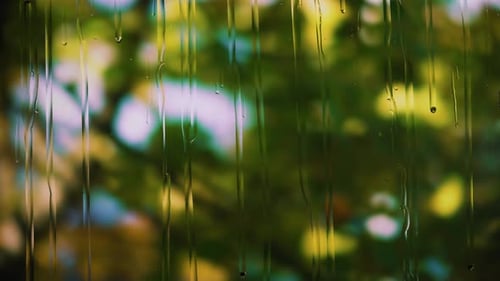 Des gouttes de pluie coulent sur le verre, les branches d'un arbre aux feuilles vertes se balancent sur un flou