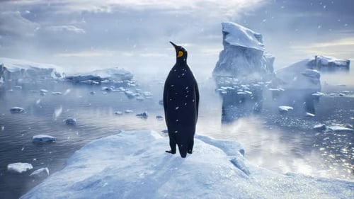 Majestic Penguin Standing on Iceberg in Snowy Arctic Landscape