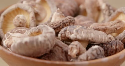 Close Up of Dried Shiitake Mushrooms in Bowl