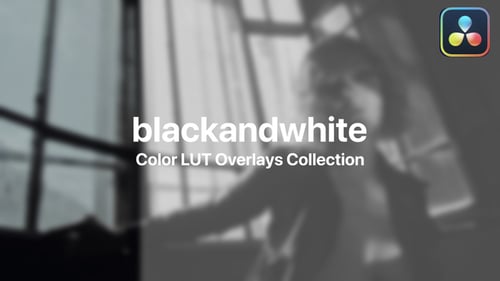 Black and White Video Color Grading LUTs Collection