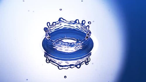 Water Drop Impact Creates Beautiful Ripple Effect