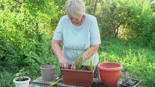 Jardinería en casa