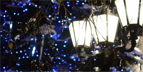 Festive Holiday Lights Twinkling at Night