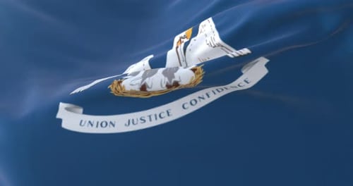 Waving Flag of Louisiana State