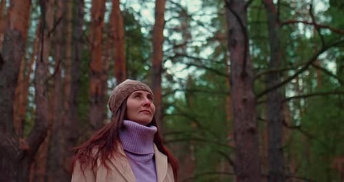 Portrait d'une belle femme admirant la nature, forêt féerique de conifères