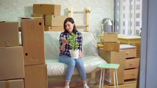 Woman on Phone with Plant in Moving Boxes
