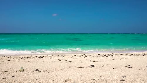 Tropical Sandy Beach
