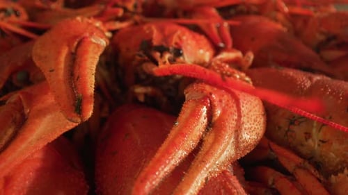 Boiled Crayfish